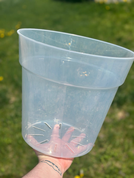 12" Clear Pot