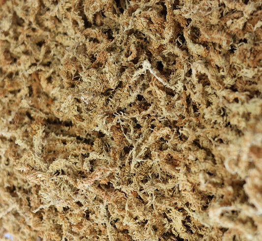 New Zealand Sphagnum Moss (Gallon Bag)