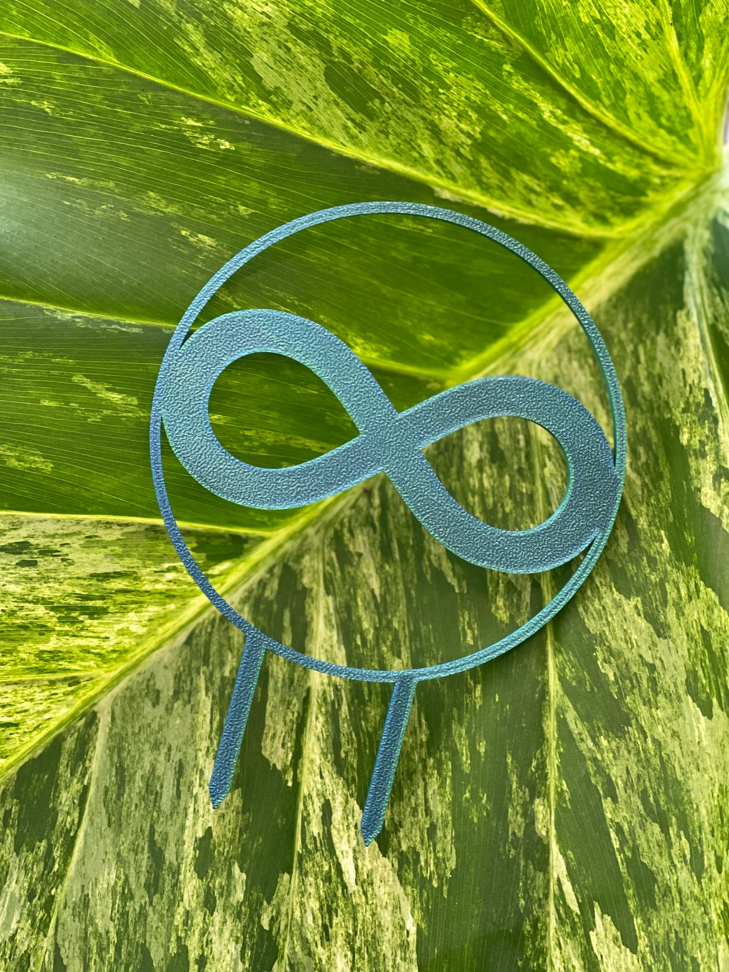 ASD / Neurodivergence Infinity trellis!