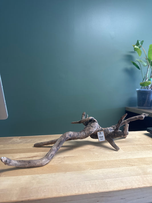 Drift wood