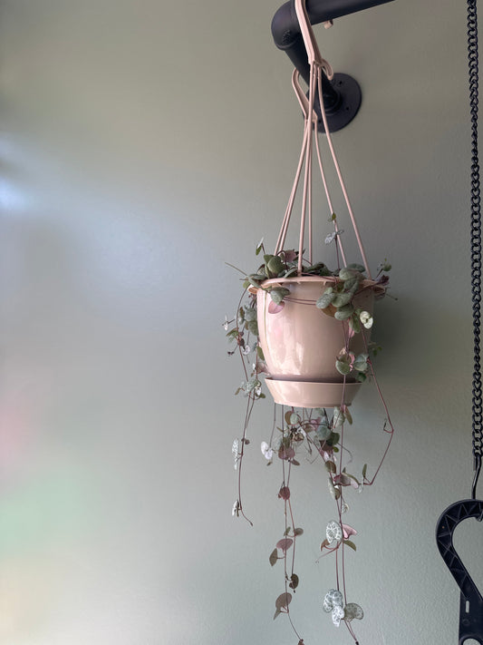 4.5" String of Hearts HB