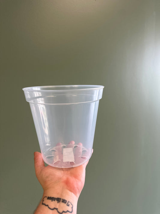 7" Clear Pot