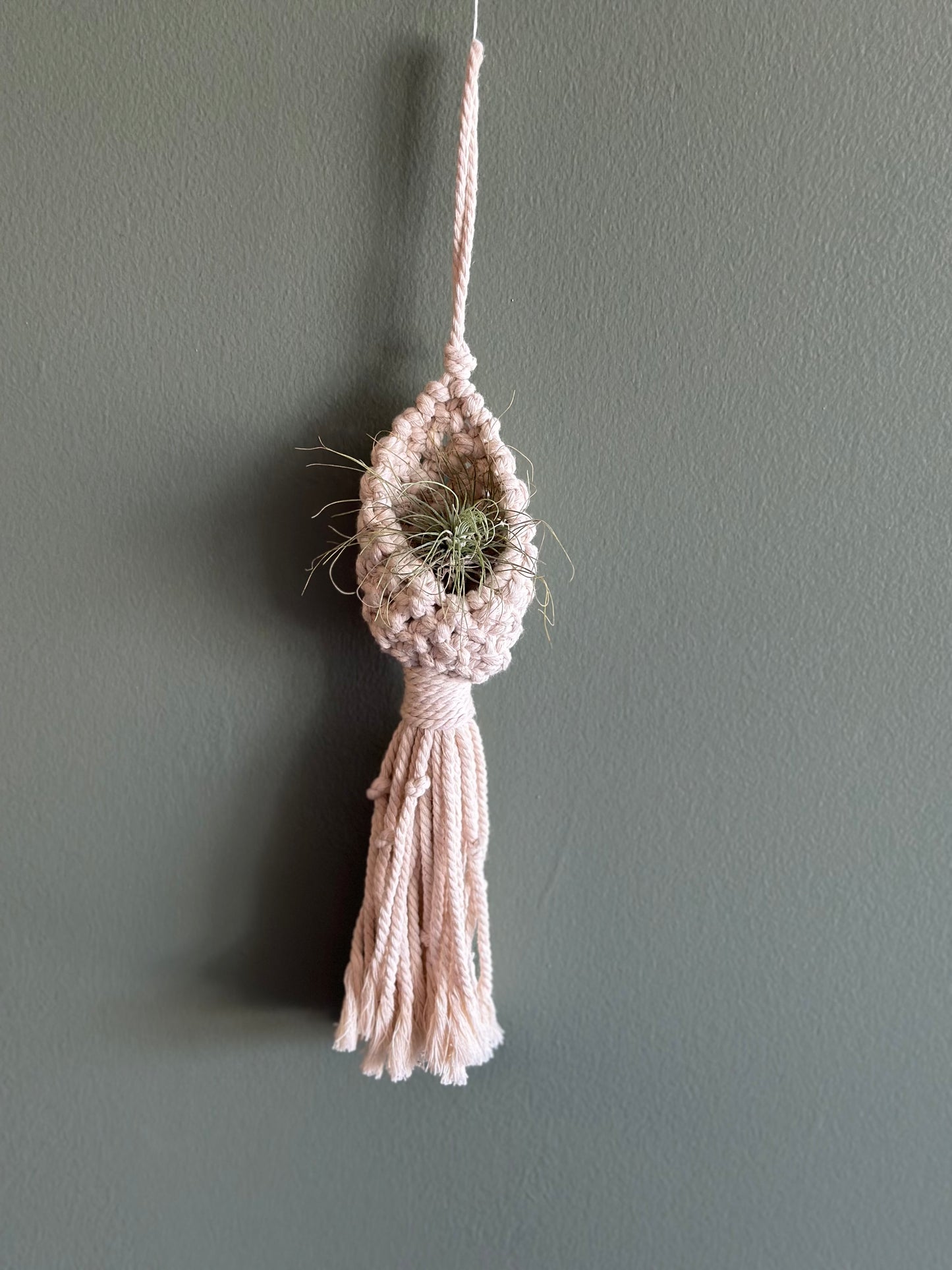 Macrame Pod / AirPlant Holder (choose color)
