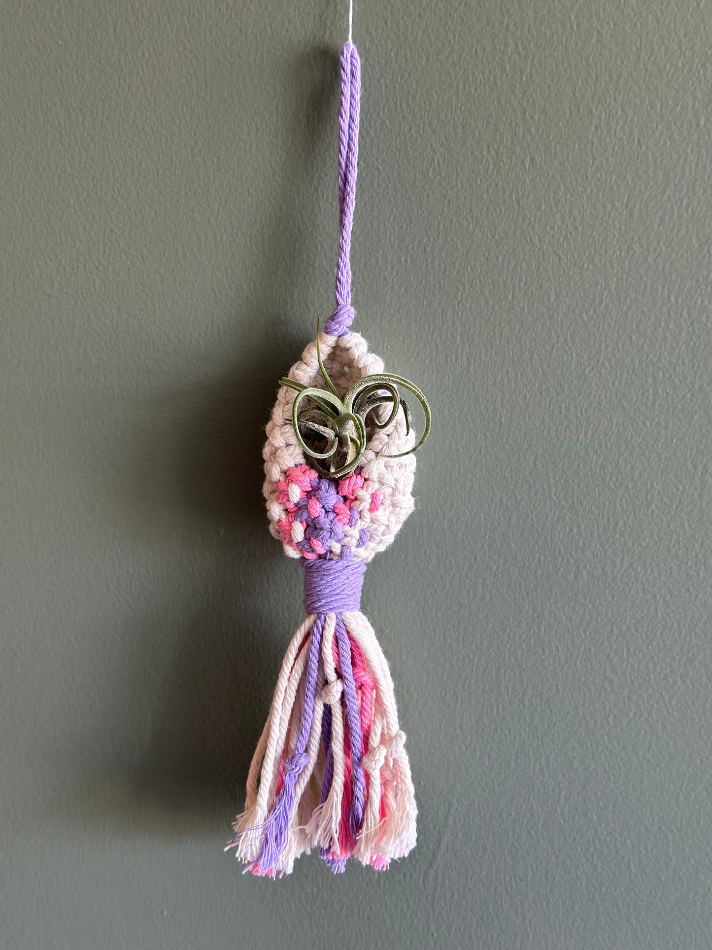 Macrame Pod / AirPlant Holder (choose color)