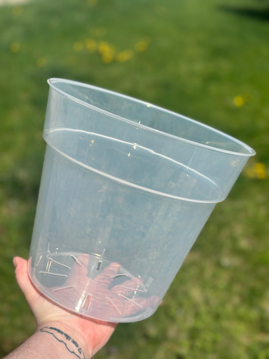 8" Clear Pot