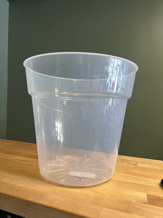 12" Clear Pot