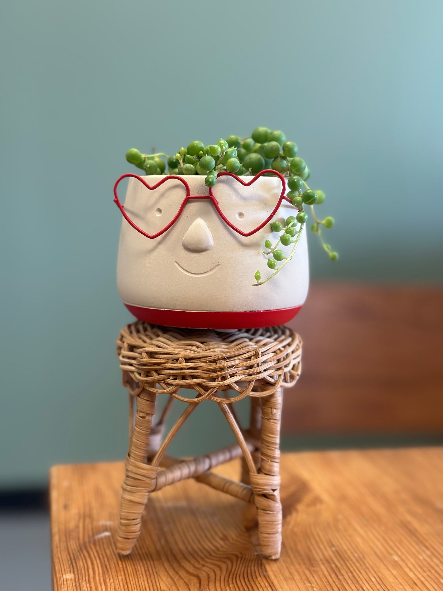 Planter Face w/  Red Heart Glasses