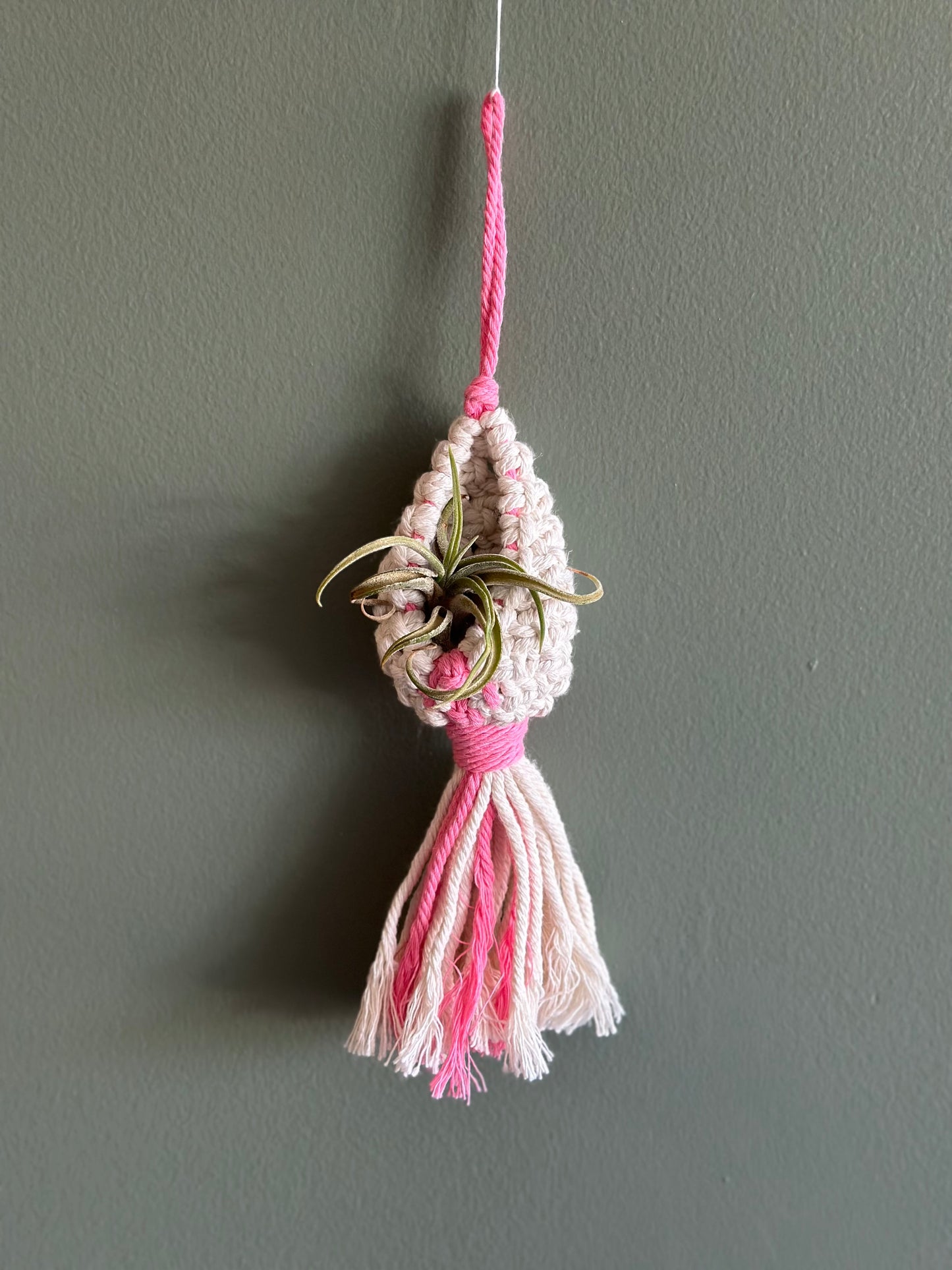 Macrame Pod / AirPlant Holder (choose color)