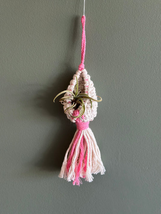 Macrame Pod / AirPlant Holder (choose color)
