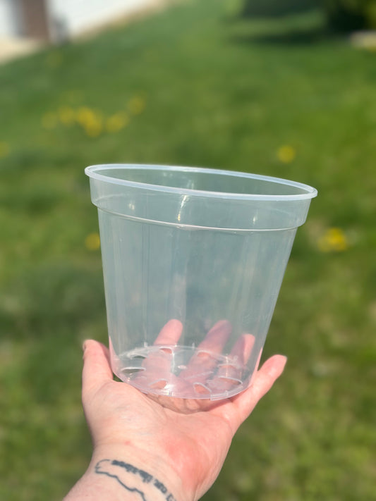 6" Clear Pot