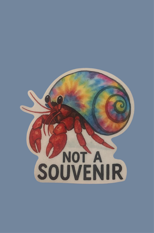 Hermit Crab Sticker 2.5”