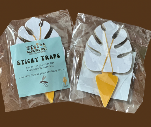 Sticky Traps - 10PK