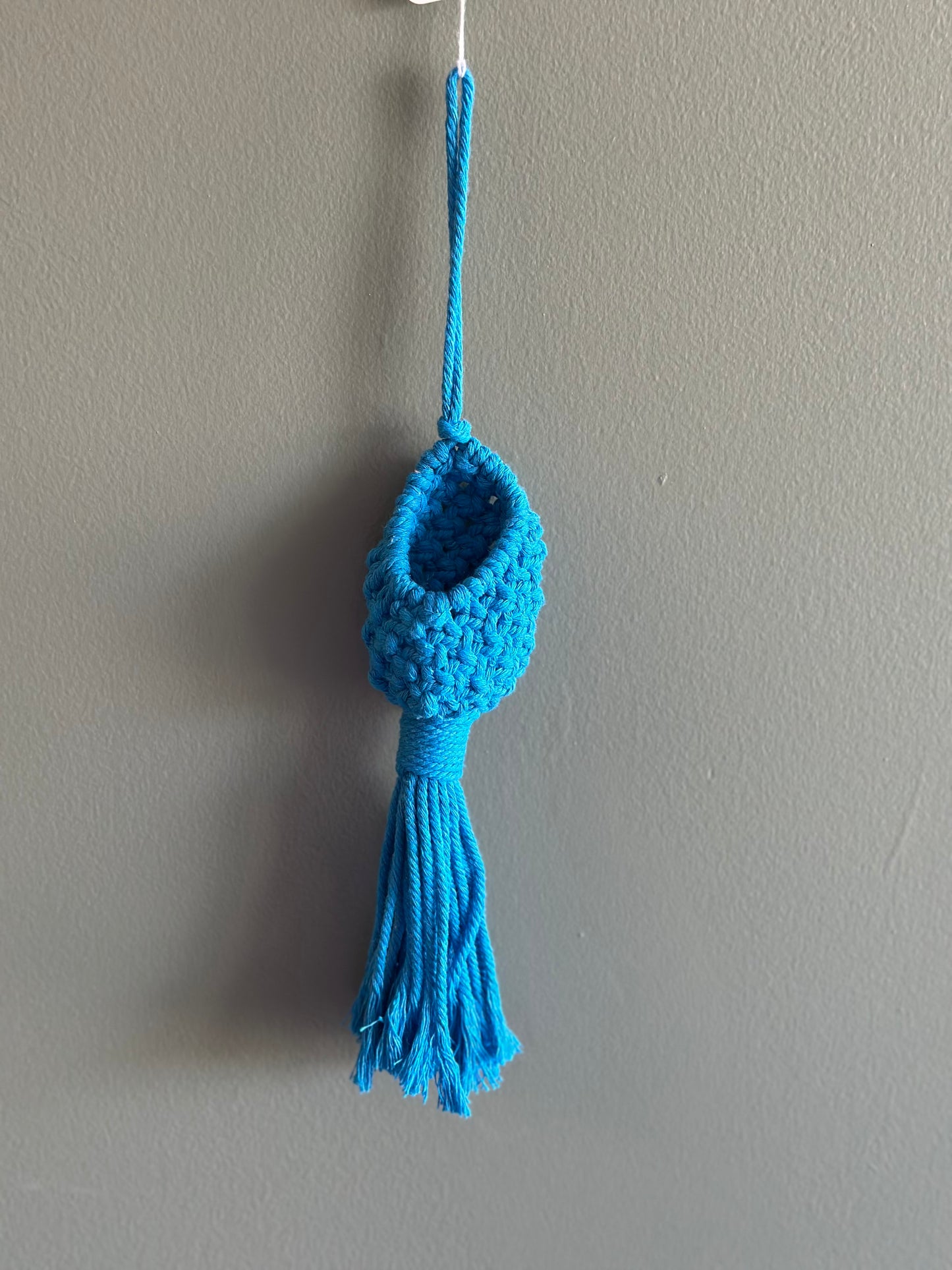 Macrame Pod / AirPlant Holder (choose color)