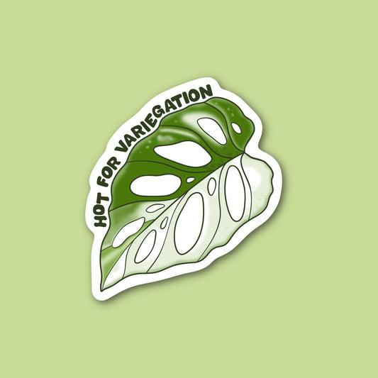 Hot for Variegation, Funny Plant Sticker 