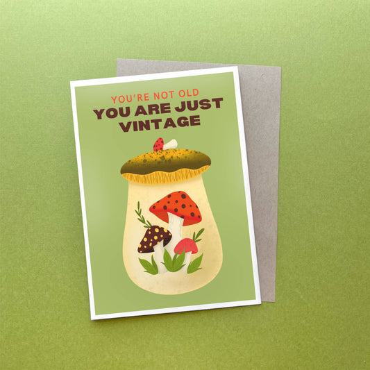 Your Not Old, You Are Just Vintage, Retro Funny Bday Card