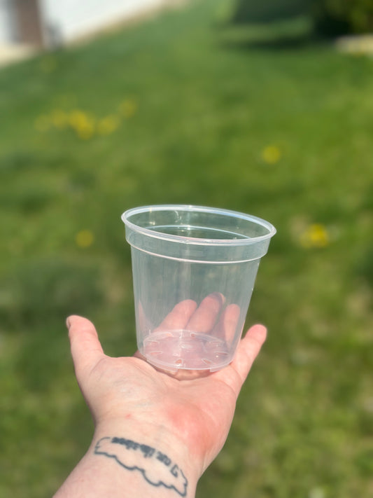 4" Clear Pot