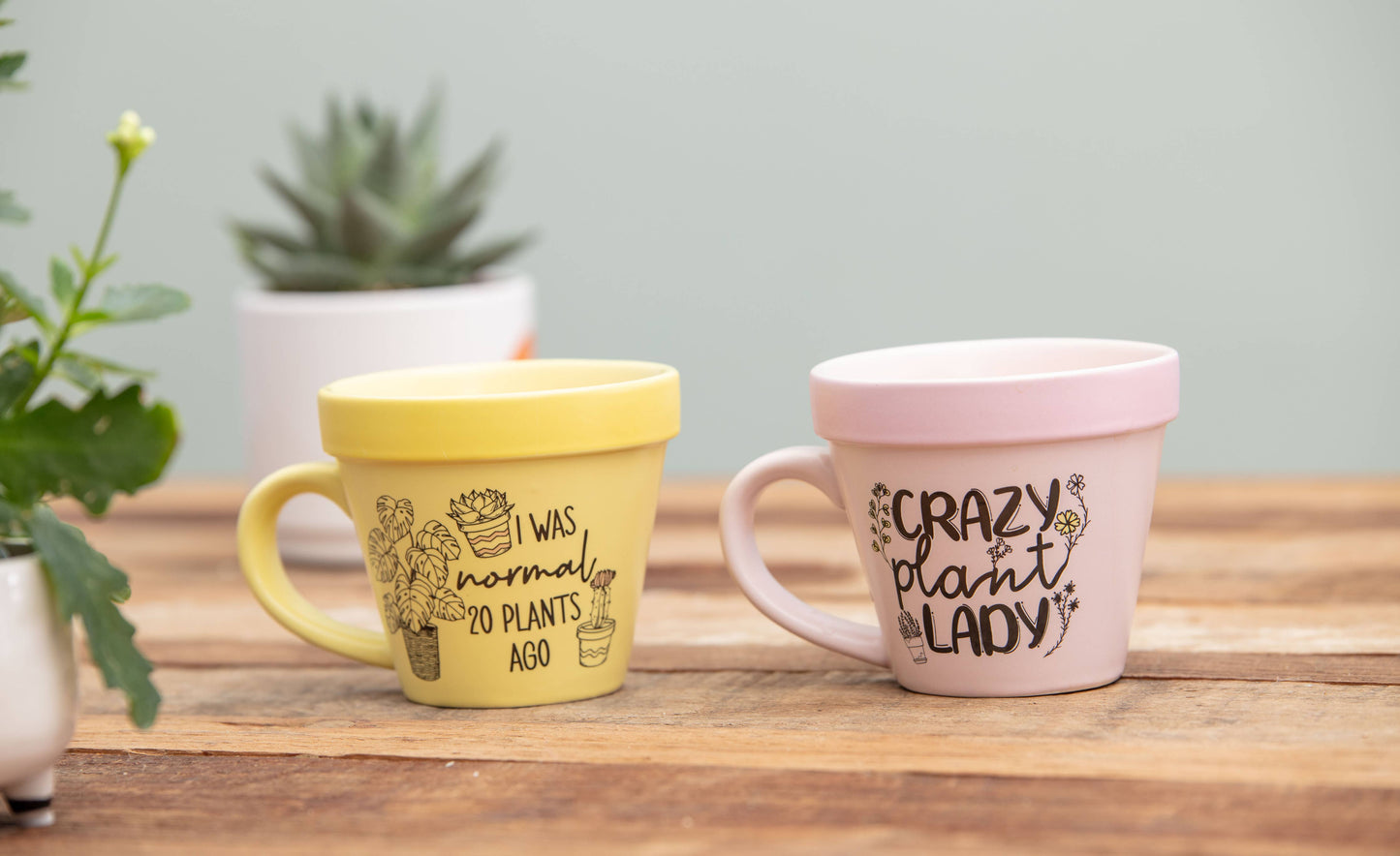 Plant Pot Mug - Gifts for Plant Moms - Crazy Plant Lady