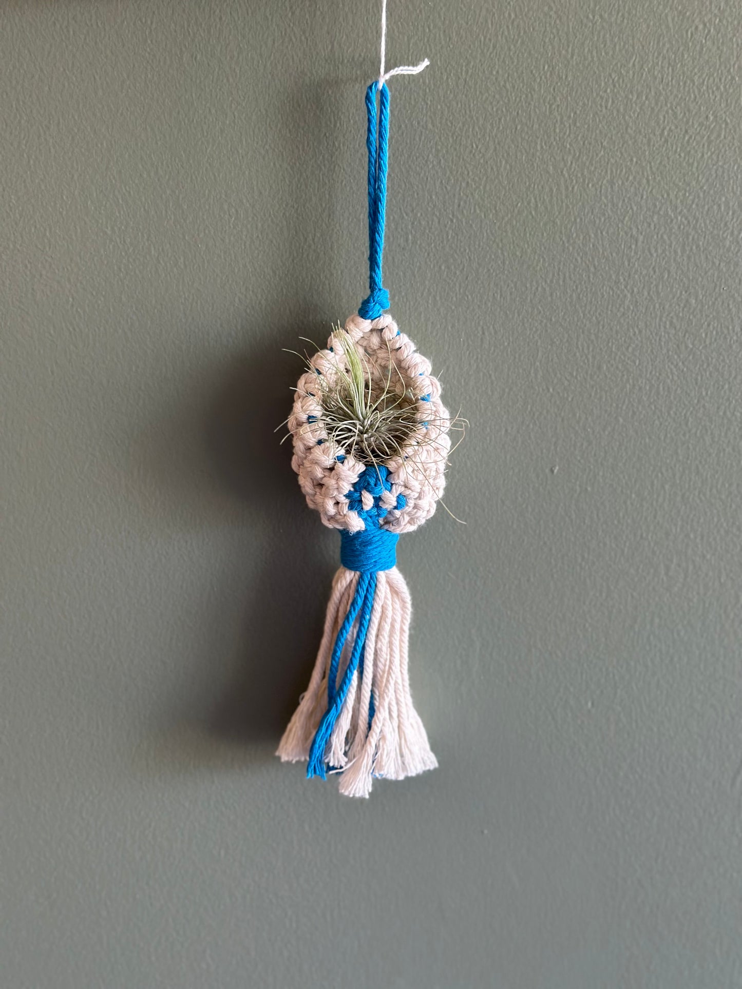 Macrame Pod / AirPlant Holder (choose color)