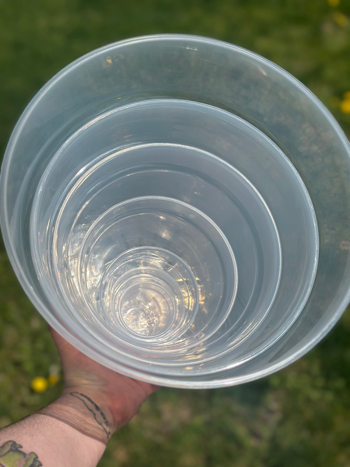 5" Clear Pot