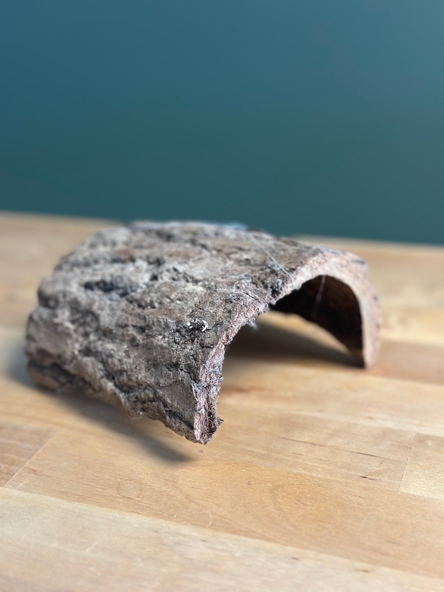 Bark hut - Handmade KY