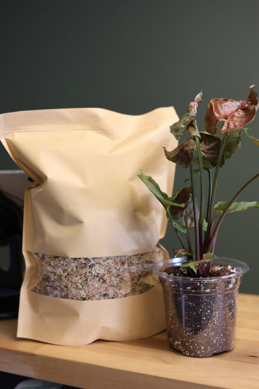 New Zealand Sphagnum Moss (Gallon Bag)