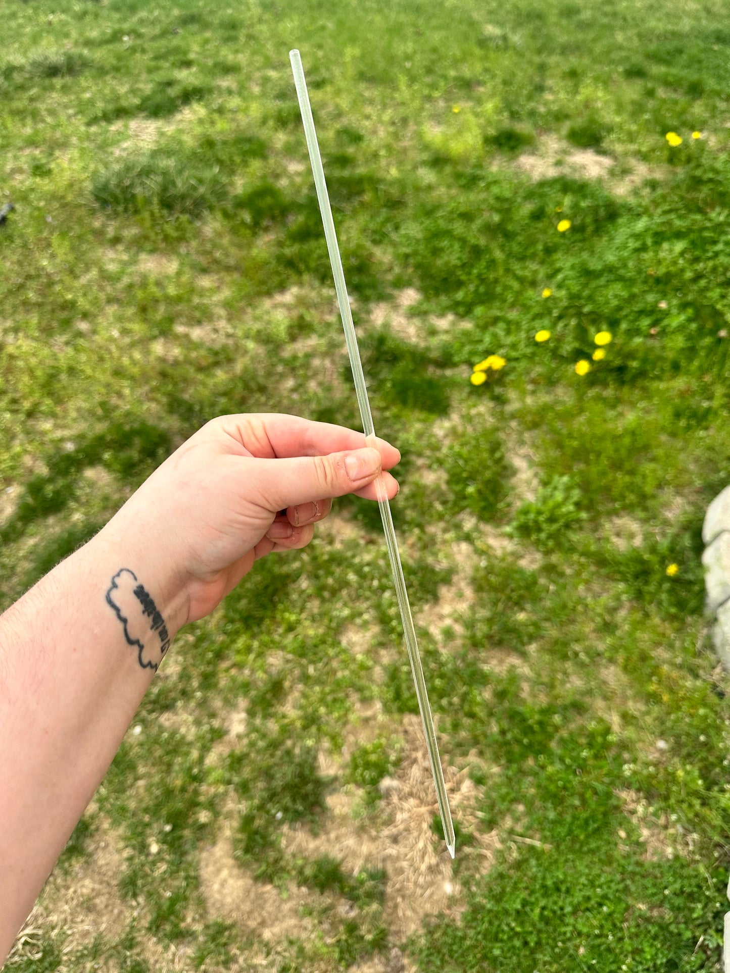 15.5" Acrylic Plant Stake - 5/$8