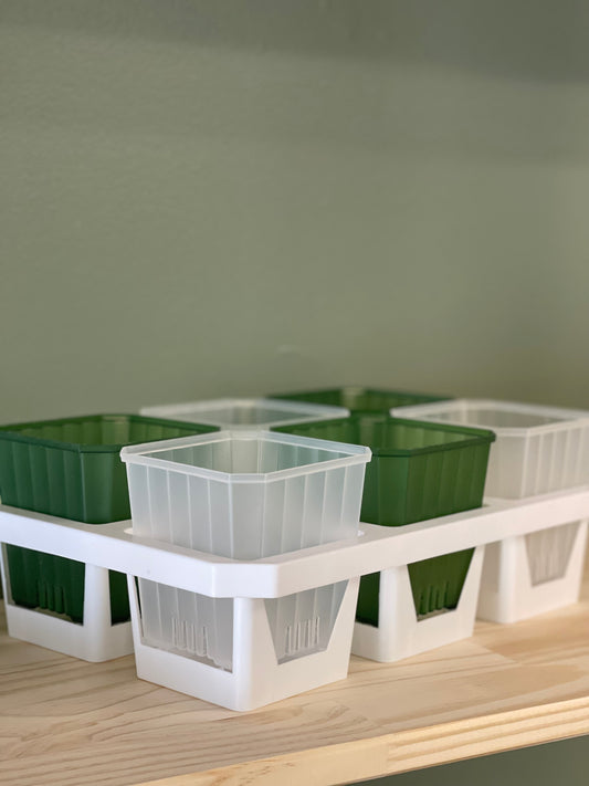 Tray & Pot set - 4”x6