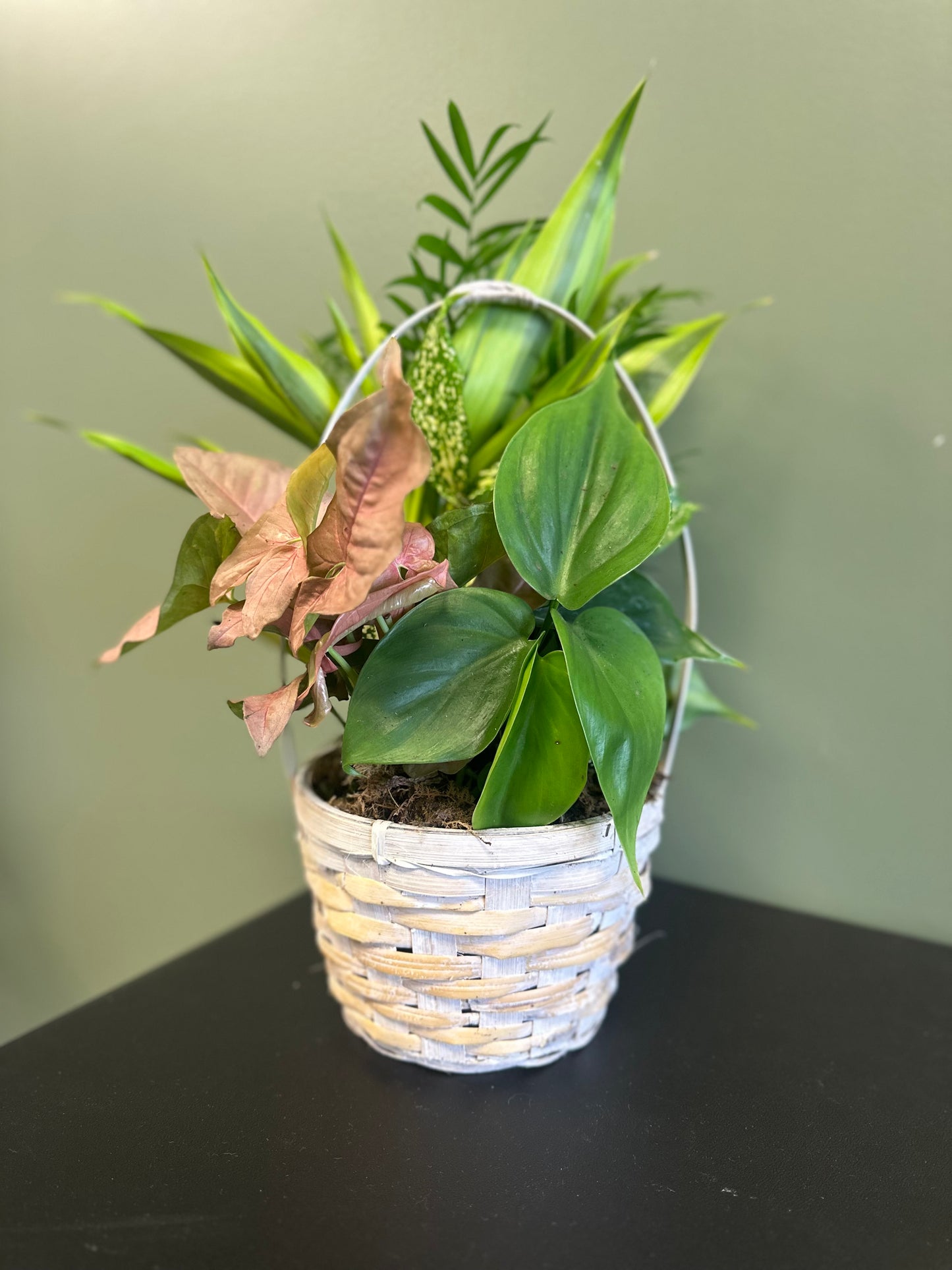 Plant Arrangement Basket