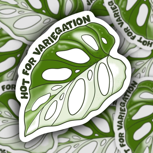 Hot for Variegation, Funny Plant Sticker 
